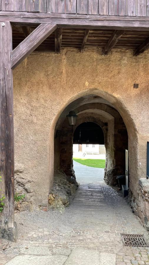 "Glueck Auf" Lichtdurchflutete Schicke Ferienwohnung In Zwickau Luaran gambar